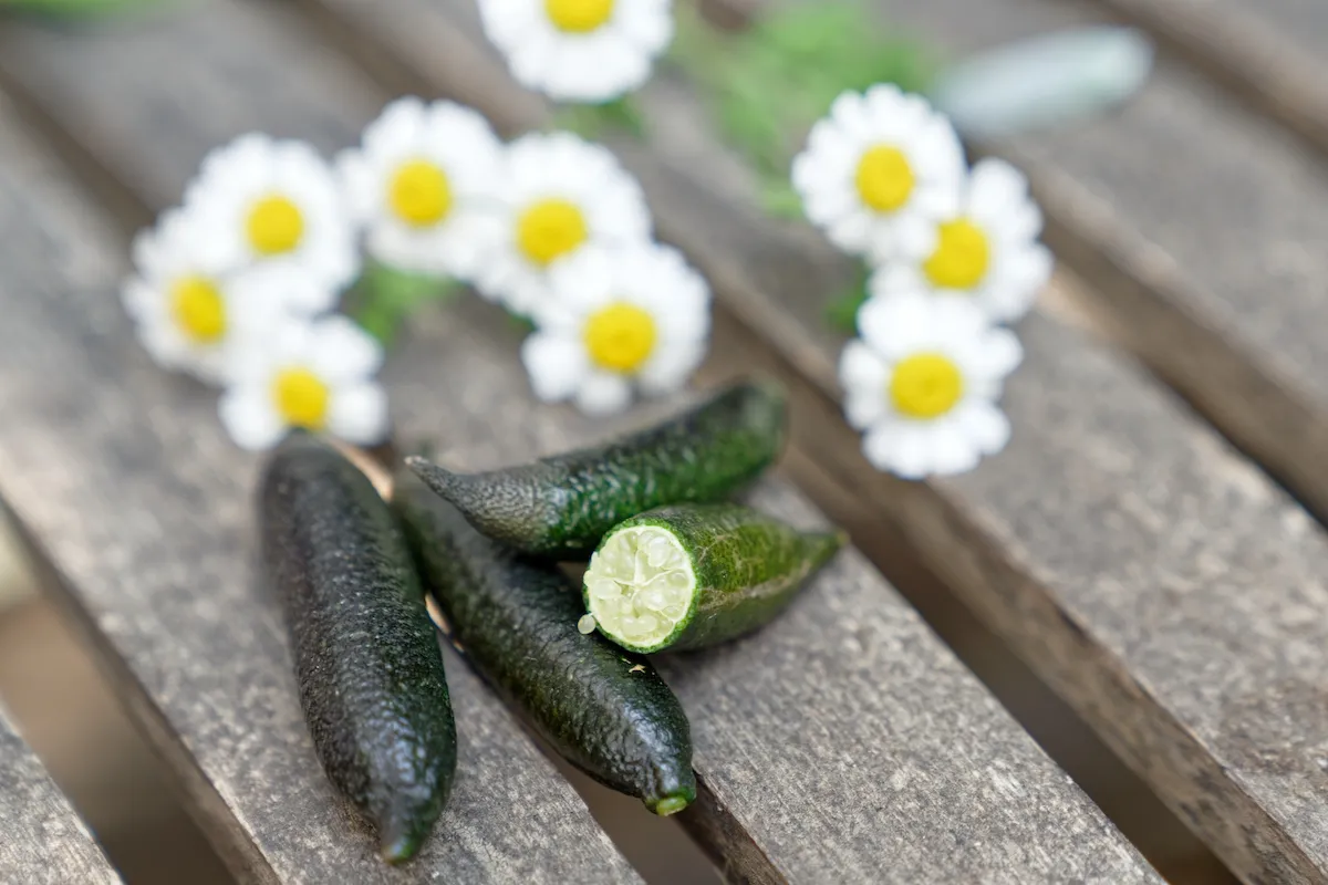 Finger Limes