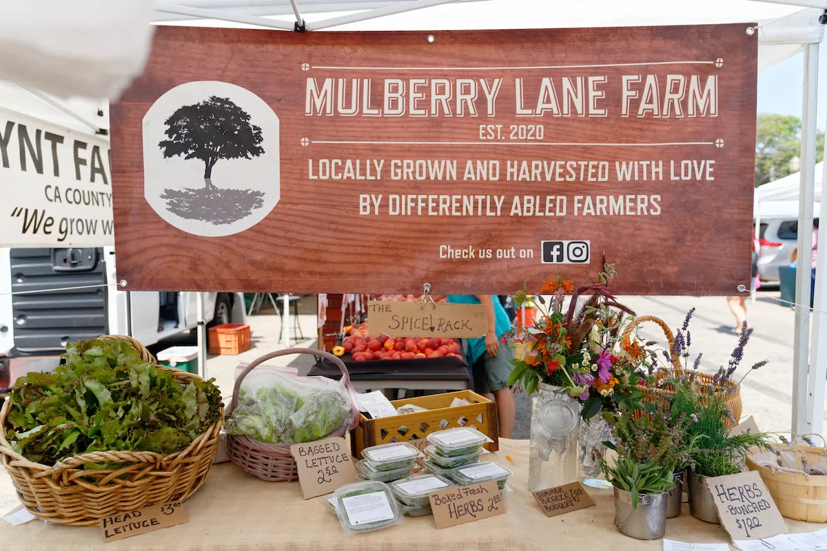 Mulberry Lane Farm.